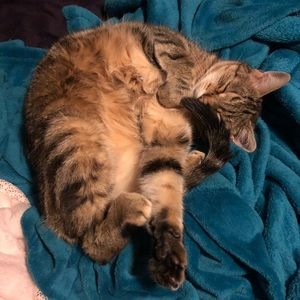 Meet your Posher, April